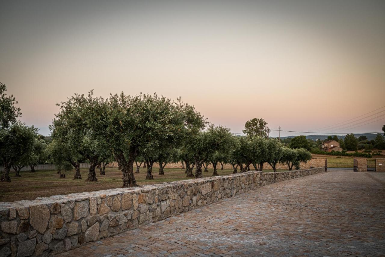 Quinta Das Oliveiras Turismo Rural Fundão Kültér fotó