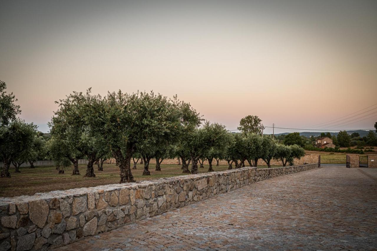 Quinta Das Oliveiras Turismo Rural Hotel Fundão Kültér fotó